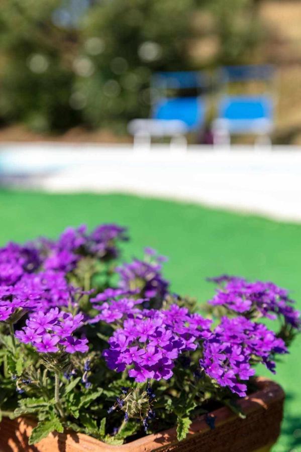 La Meriggia Senigallia Agriturismo Ancona Exteriér fotografie